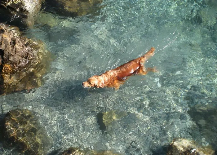 Apartman Casa Elisabetta Rapallo