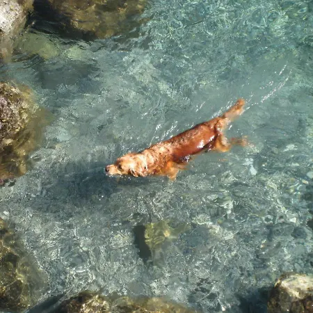 Appartement Casa Elisabetta Rapallo